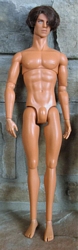 Homme Male Dolls